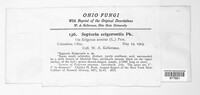 Image Associated With the Occurence